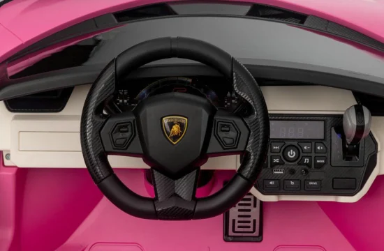 Interior of Kids Ride On Lamborghini Sian focusing on steering wheel and center console